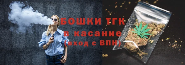 гидропоника Медногорск