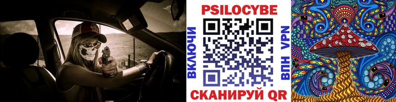 Галлюциногенные грибы Psilocybe Шебекино