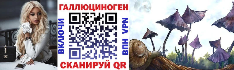 Галлюциногенные грибы MAGIC MUSHROOMS  Шебекино 