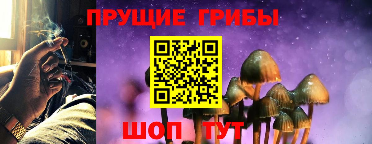 где найти наркотики  Шебекино  Псилоцибиновые грибы ЛСД 