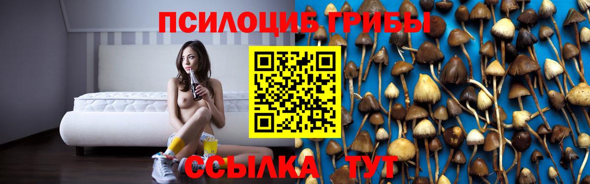 Галлюциногенные грибы GOLDEN TEACHER  Галлюциногенные грибы Psilocybe  Вход с VPN  Шебекино 